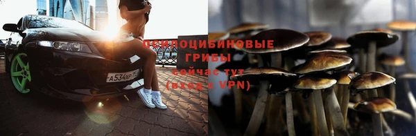 трава Куйбышев