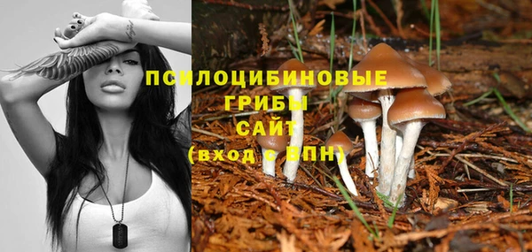 трава Куйбышев