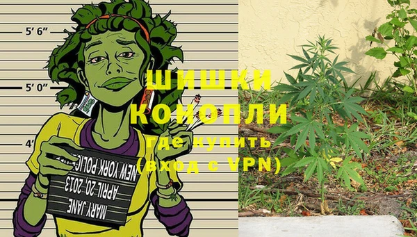 трава Куйбышев
