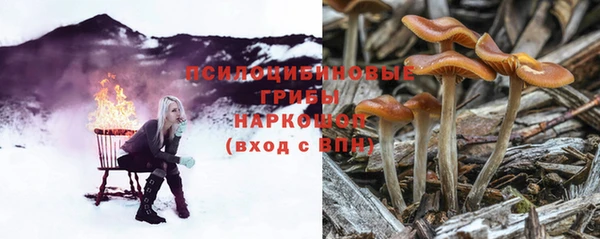 трава Куйбышев