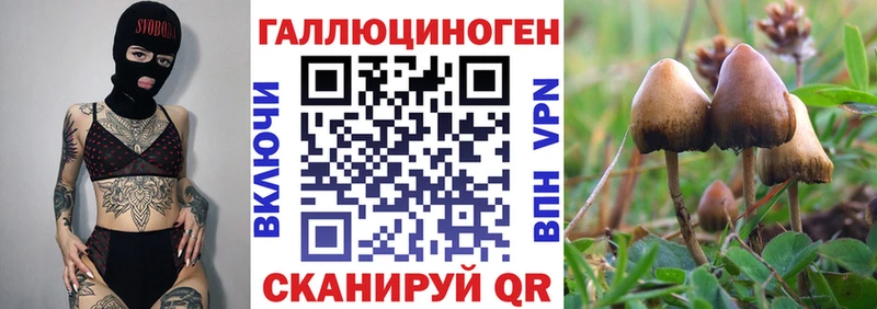 Псилоцибиновые грибы GOLDEN TEACHER  Купить где  Давлеканово 